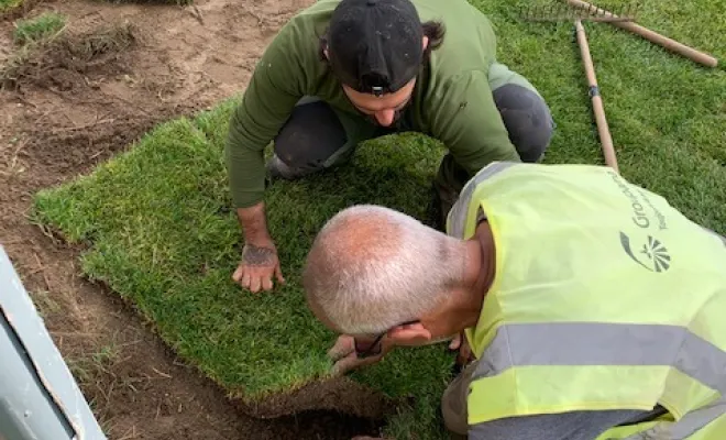 mise en place de gazon naturel ou synthétique